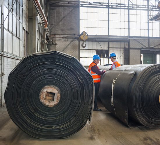 Two men with safety vests in industry